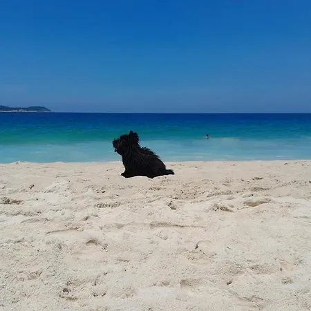 Charmosa Cobertura Em Ipanema Na Quadra Da Praia De Quarto, Sala, Terraco E Sauna Rio de Janeiro Exterior photo