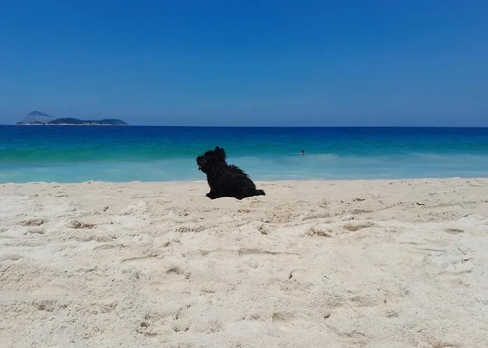 Charmosa Cobertura Em Ipanema Na Quadra Da Praia De Quarto, Sala, Terraco E Sauna